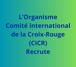 Un.e Assistant.e de programme Forces armées et sécurité