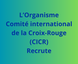Un.e Assistant.e de programme Forces armées et sécurité