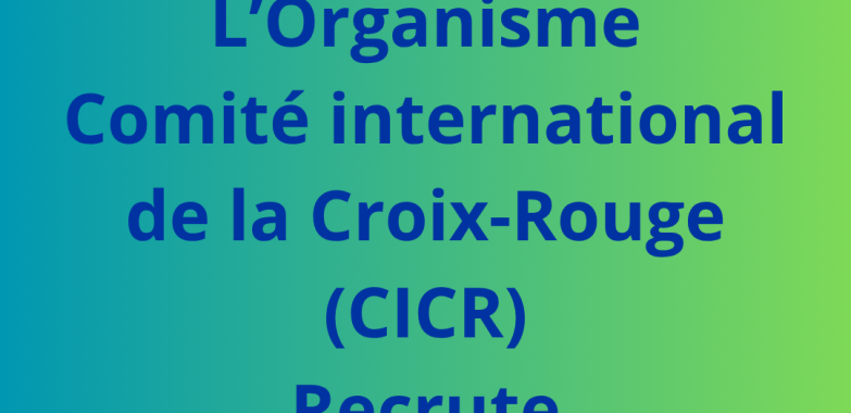 Un.e Assistant.e de programme Forces armées et sécurité