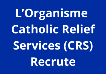 3 Project Officer Nutrition