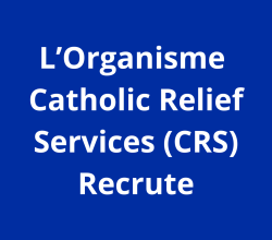 3 Project Officer Changement des comportements sociaux (CCS)