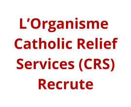 Senior MEAL Officer