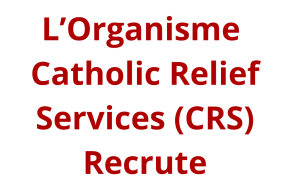 Senior MEAL Officer