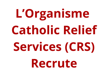 Senior MEAL Officer