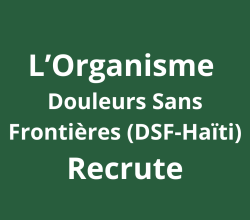 Assistant.e de Communication – DSF Haïti
