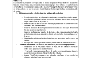 ASSISTANT.E DE PROJET PROTECTION