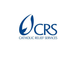 Distribution Senior Project Officer