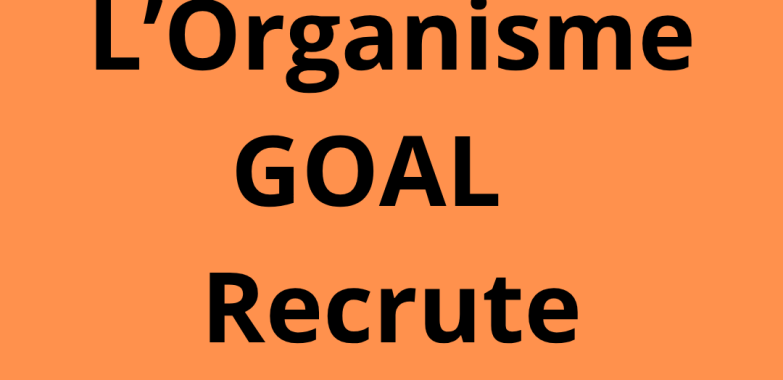 Un.e Chef(fe) de Projet / Team Leader