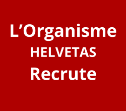 Facilitateur/trice de projet d’urgence