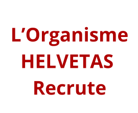 Conseiller/ère Sécurité et Responsable de Passation de Marchés