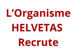 Conseiller/ère Sécurité et Responsable de Passation de Marchés