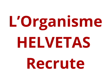 Conseiller/ère Sécurité et Responsable de Passation de Marchés