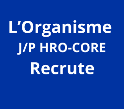 Program Director