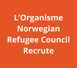 PfV Programme Development Manager Port-au-Prince Haiti