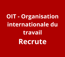 Assistant de projet principal