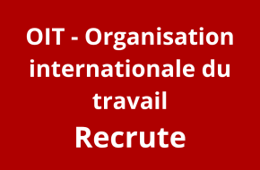Assistant de projet principal