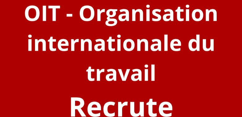 Assistant de projet principal