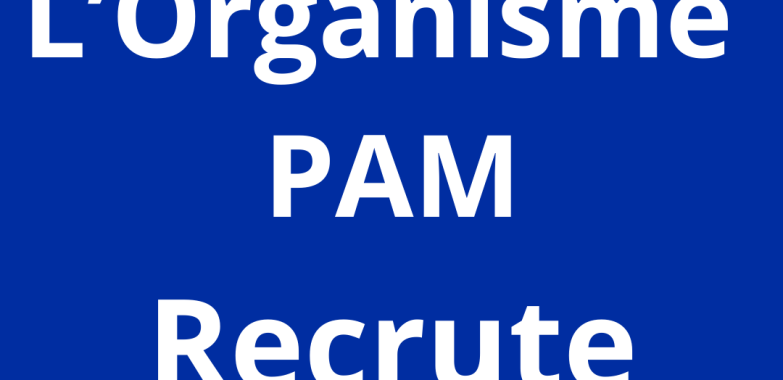 Assistant/Assistante au pointage